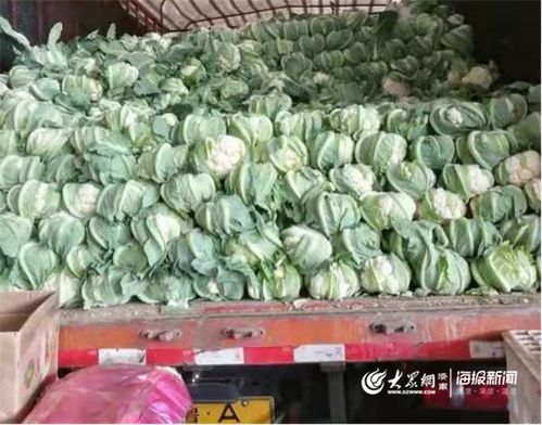 防疫情 保供應(yīng) 匡山農(nóng)產(chǎn)品綜合交易市場(chǎng)為市民托穩(wěn)“菜籃子”農(nóng)產(chǎn)品