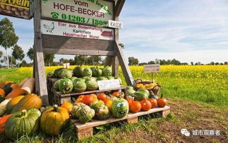 鄉村旅游農產品創意升級之路