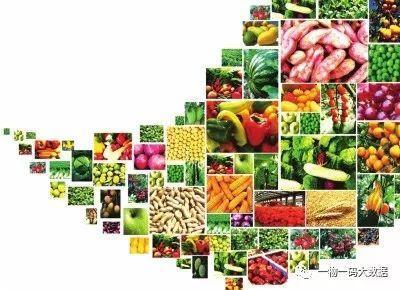 綠色農產品的溯源之路 從田間到餐桌的全程可追溯