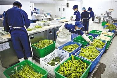 新京報 好新聞，無止境——探索中國農(nóng)產(chǎn)品背后的故事