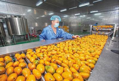 育好物、出爆款、強品牌 打造現(xiàn)代農(nóng)業(yè)價值鏈的三部曲