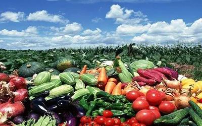 推進農產品高質量發展 路徑與策略