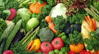 農產品發展的時代新篇 從傳統耕作到智慧農業